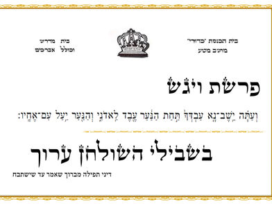 פרשת ויגש - בית כנסת כדורי מושב מטע