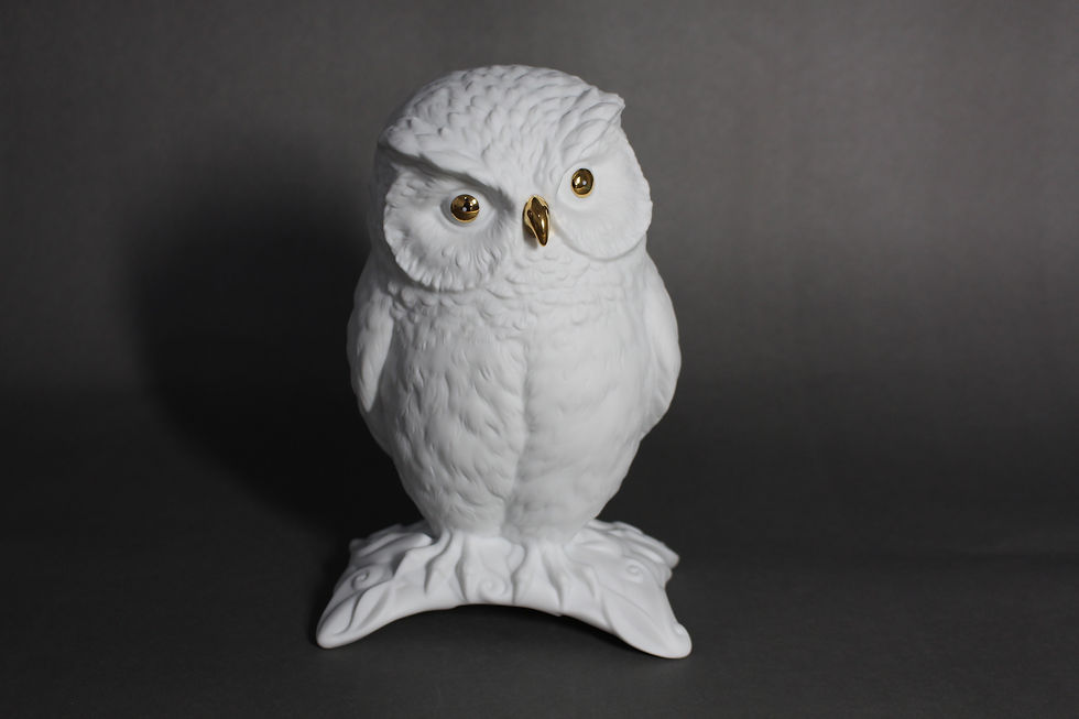 縮圖：森林萌主 Owl Baby