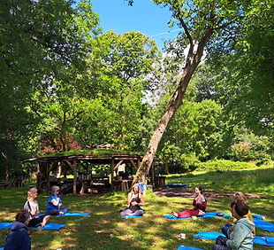 Yoga retreat under the trees