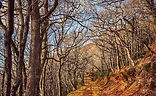 Exmoor National Park.jpeg