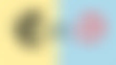 Mailchimp vs ConvertKit 2025