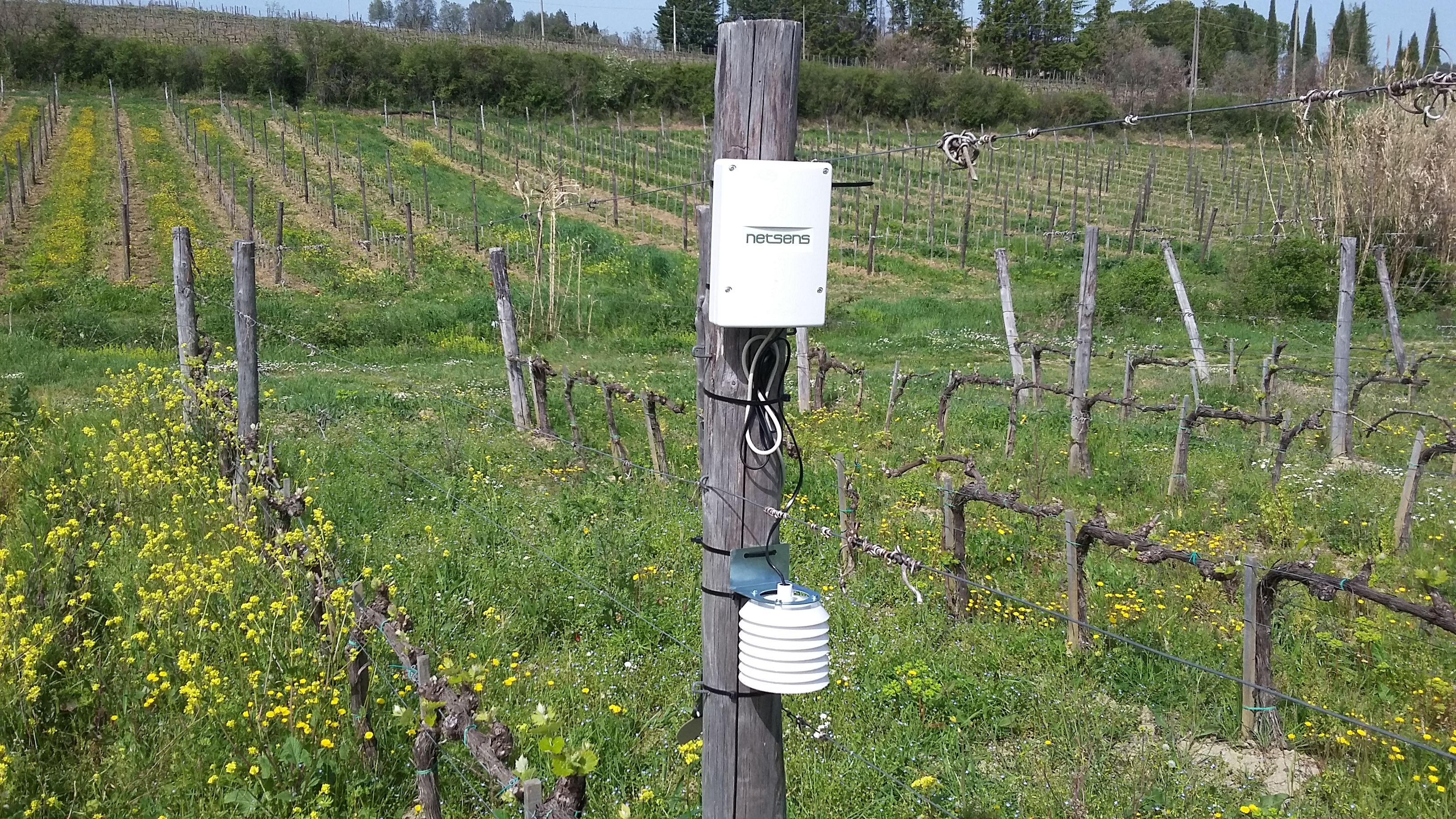 Remote Einheit