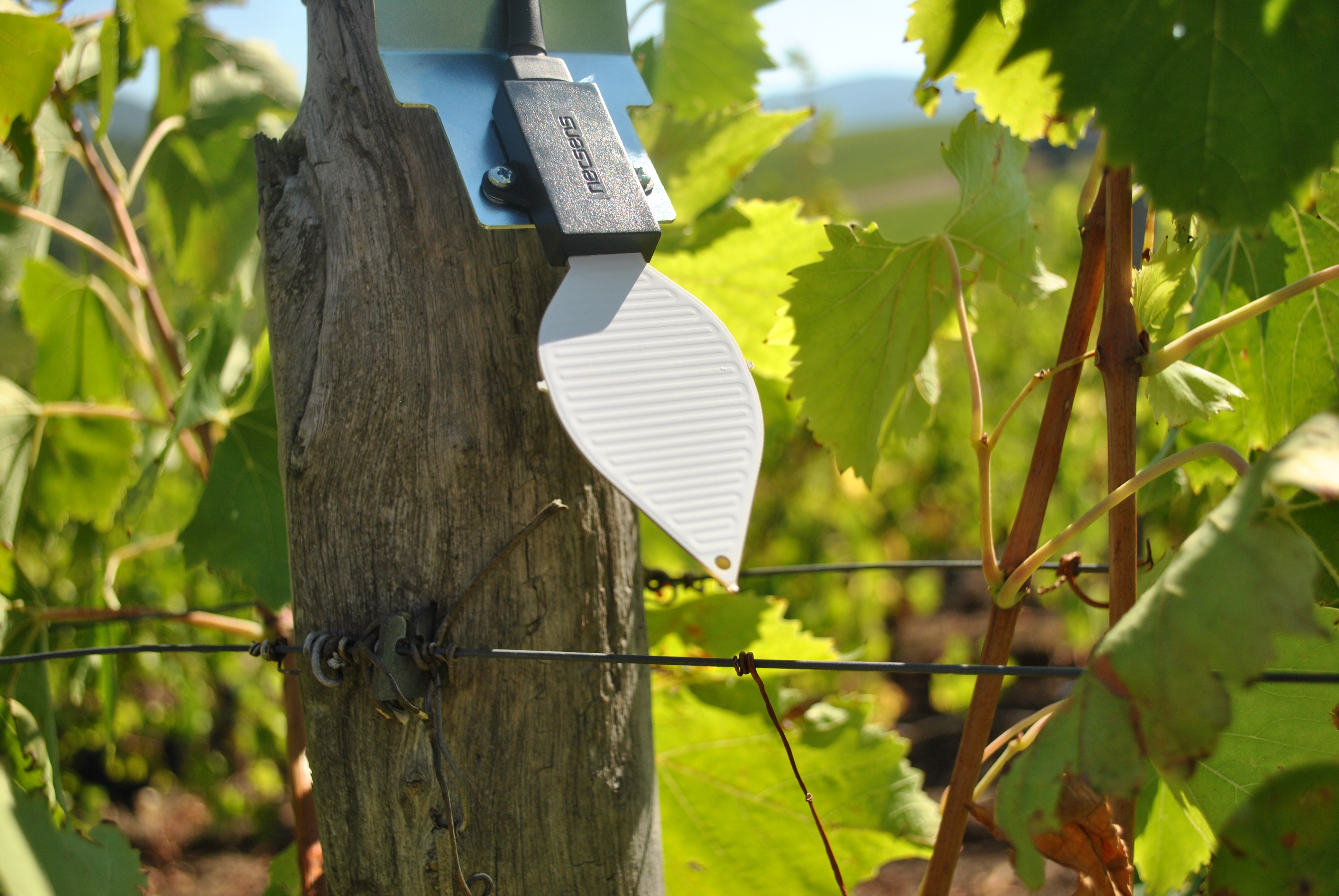 Blattnässe Sensor