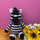 Thumbnail: Zinna the Zebra