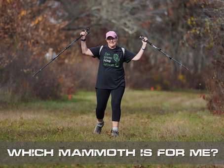 Which Mammoth is for me?