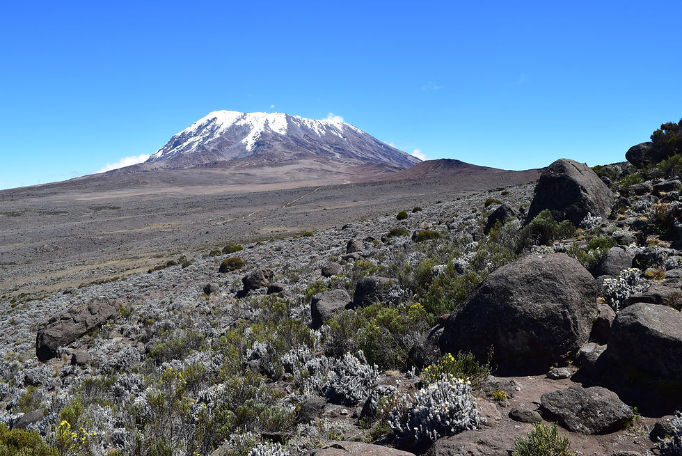 Kilimanjaro 2018