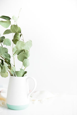 Vase avec plante sèche