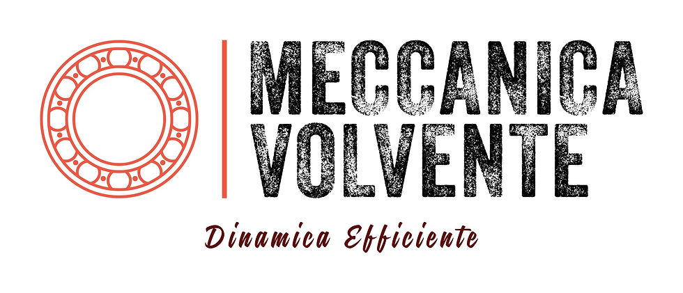 Meccanica Volvente: il fornitore di tecnologia lineare e cuscinetti