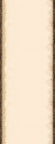 ssssssfff21_edited.png