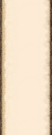ssssssfff21_edited.png