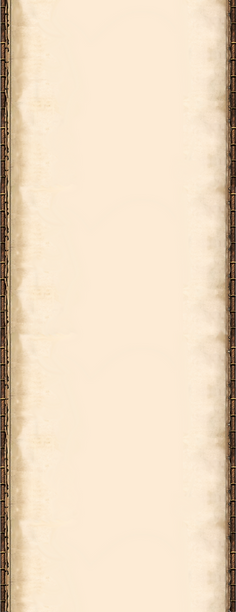ssssssfff21_edited.png