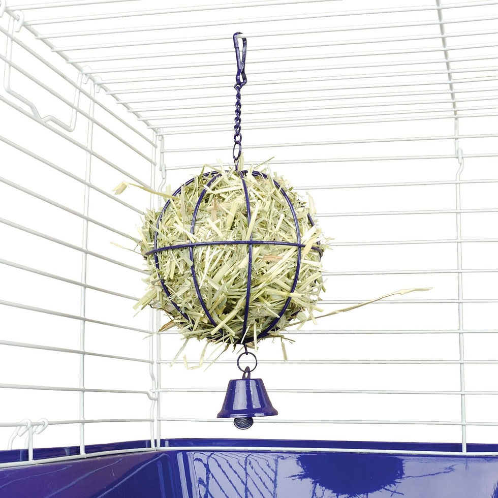 Thumbnail: Ware Hay Ball & Bell