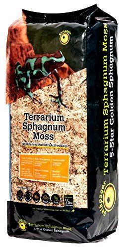 Thumbnail: Galapagos Golden Sphagnum Moss