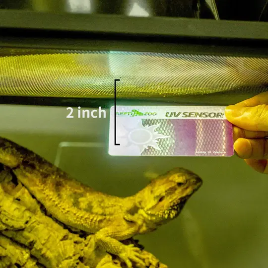 Thumbnail: ReptiZoo UVB Sensor Test Card (2-Pack)