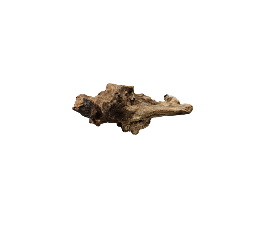 Thumbnail: AquaGlobe Congo Wood