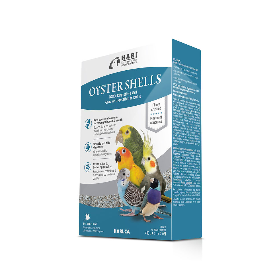 Thumbnail: HARI Oyster Shells