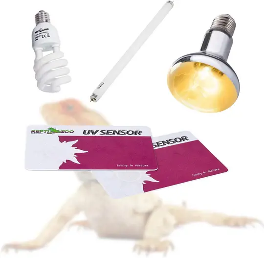 Thumbnail: ReptiZoo UVB Sensor Test Card (2-Pack)