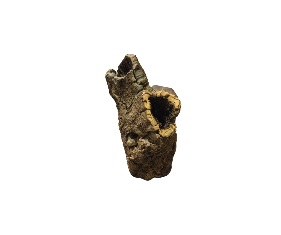 Thumbnail: NewCal Cork Round