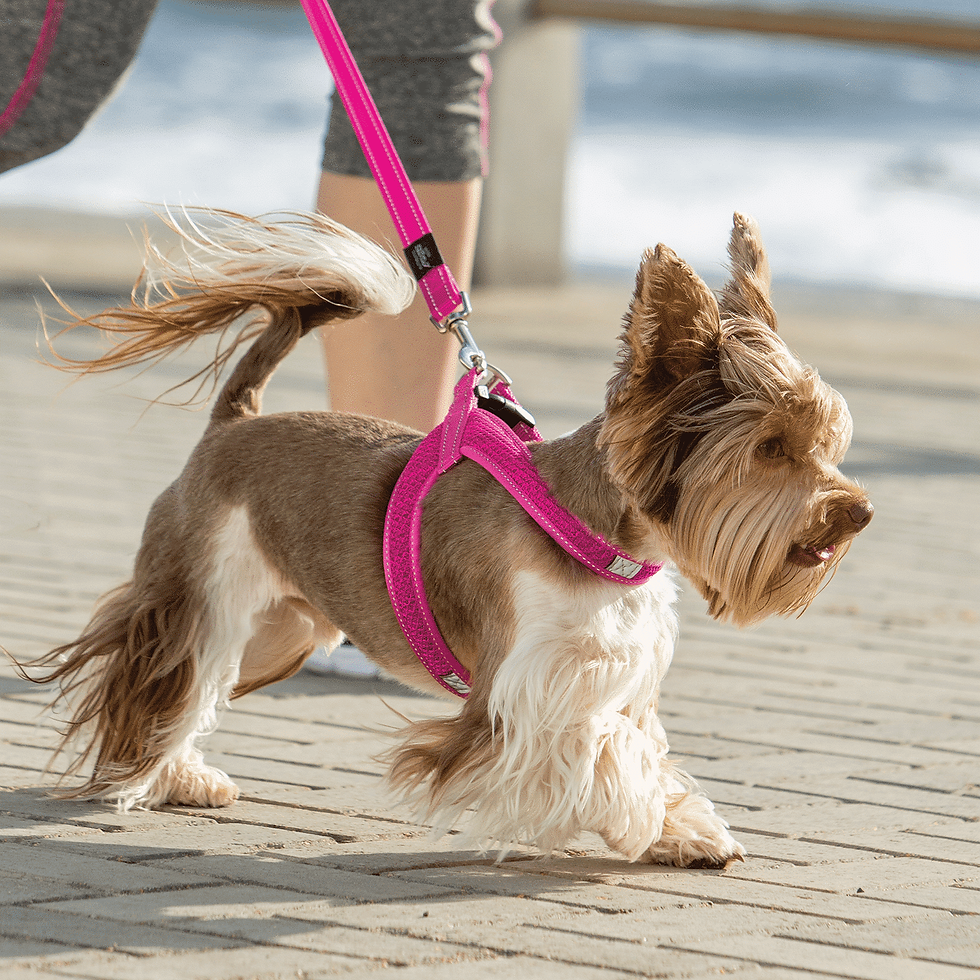 Thumbnail: Rogz Utility Fast-Fit Harness