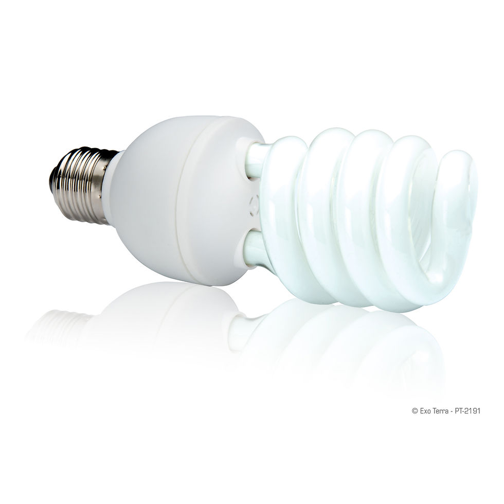 Thumbnail: Exo Terra Natural Light - 26 W