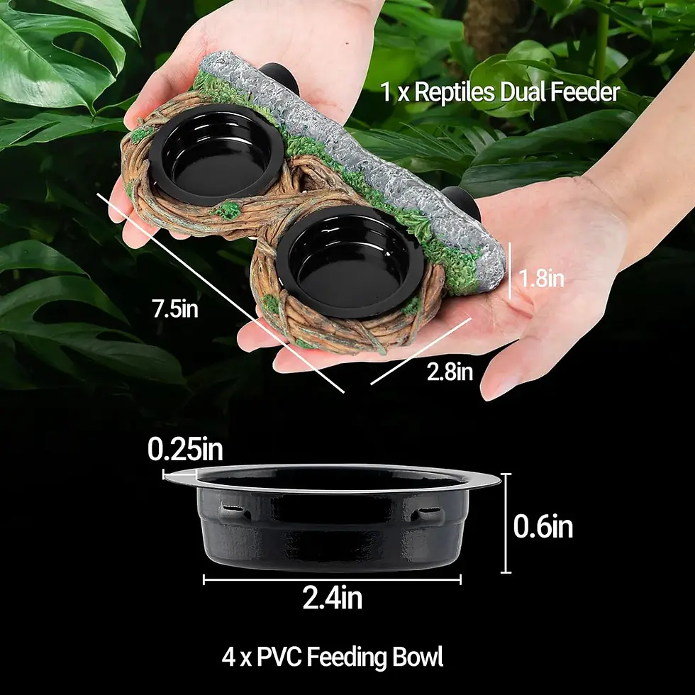 Thumbnail: ReptiZoo Feeder Vine Ledge Double