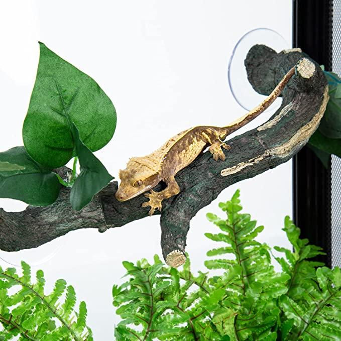 Thumbnail: ReptiZoo 3-Piece Reptile Climbing Branch