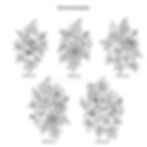 Thumbnail: Custom Birth Flower Tattoo | Birth Month Flower Tattoo | Family Birth Flowers