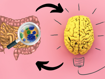 Gut microbes – the key to gut-brain communication