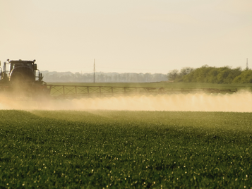 From Field to Table: The Health Risks of Glyphosate