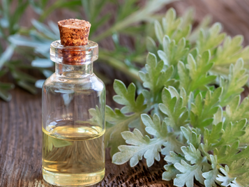 How to get rid of parasites naturally