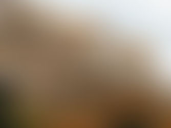 Larry and Barry’s Conflicting Sukkah Porches