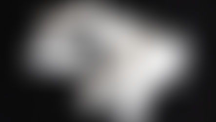 Nicotine Pouches on Shabbos