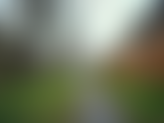 Resolving Real Estate Disputes: Litigation and Practical Solutions