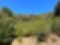 A8AFB4D5-0312-49CB-8B79-841C0E504942.jpeg