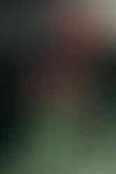 Wedding ceremony chairs and flowers Braun Manor Denison Texas.