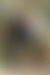 Best Dallas Photography Locations For Engagement Sessions