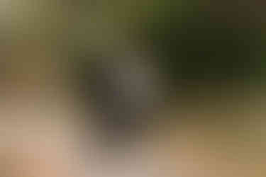 Best Dallas Photography Locations For Engagement Sessions