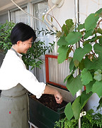 amamiya - amamiya amamiya_edited.jpg