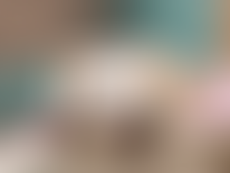 Safe and Fun Ferret Boarding Facility Near You