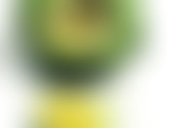 Just a lime…