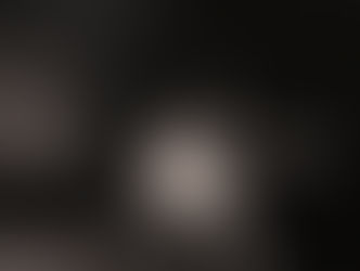 ………….