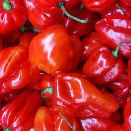 A pile of glossy red habanero peppers filling the frame, with green stems and one orange pepper mixed in.