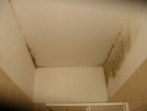 Mouldy bathroom