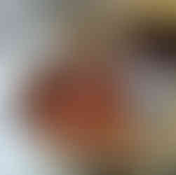 "Middle layer with some biryani sauce"