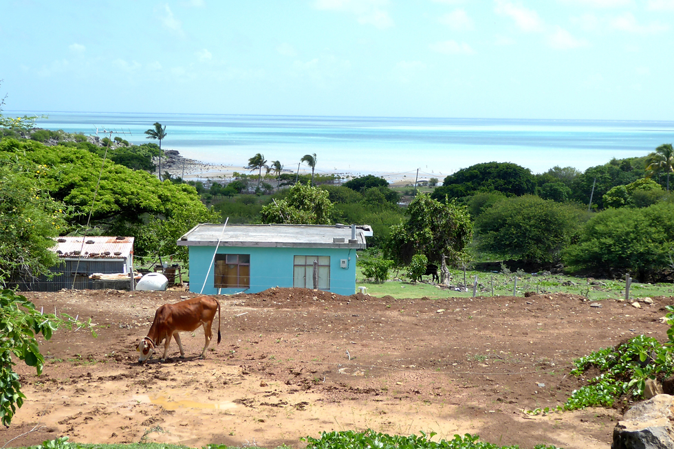 Randonnée à Rodrigues entre nature préservée, montagnes volcaniques et panorama sur l’océan Indien