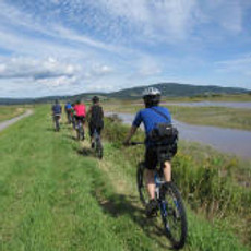 Bicyclette de Montagne