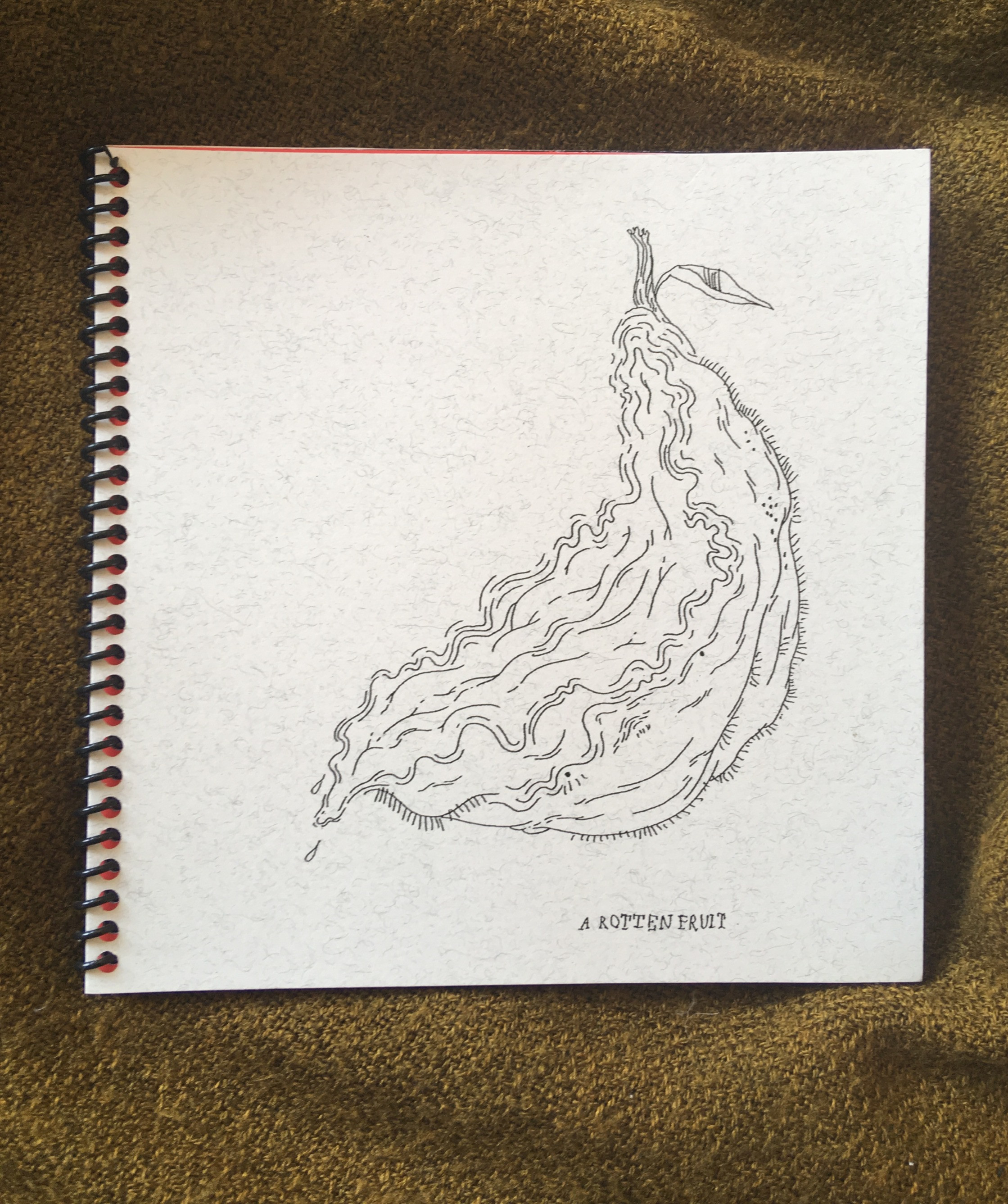 A Rotten Fruit Zine