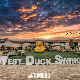 lieu du west duck swing