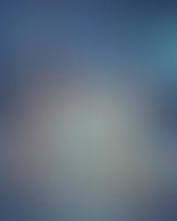 Forum Dodo, Vroum Vroum !!