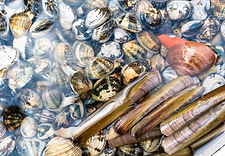 스크린샷 2025-04-02 오후 3.15.54.png